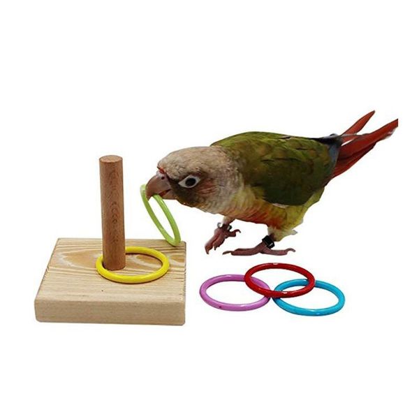 pet bird toy stacking ring tablesmall rings set parrots small-medium training tools accessories other supplies
pet bird toy stacking ring tablesmall rings set parrots small-medium training tools accessories other supplies