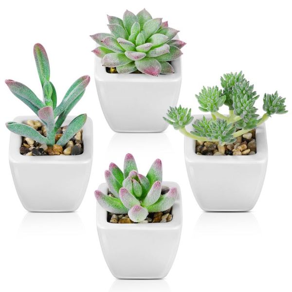 homemaxs 4pcs artificial succulent plants ceramic potted fake succulents mini realistic desk for home bathroom window off decorative flowers
homemaxs 4pcs artificial succulent plants ceramic potted fake succulents mini realistic desk for home bathroom window off decorative flowers