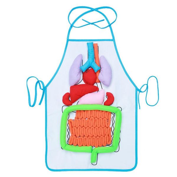 montessori early education children three-dimensional simulated organ apron science physiological 3d hvr88 aprons
montessori early education children three-dimensional simulated organ apron science physiological 3d hvr88 aprons
