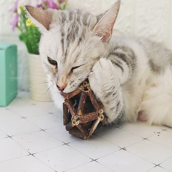 cat toys natural catnip snack balls molar branch cleaning teeth sticks kitten toy pet teaser supplies
cat toys natural catnip snack balls molar branch cleaning teeth sticks kitten toy pet teaser supplies