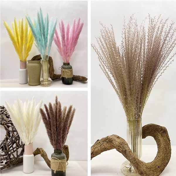natural dried flowers bouquet wedding decoration hay for party bohemian home decor 30pcs reed pampas wheat ears rabbit tail grass
natural dried flowers bouquet wedding decoration hay for party bohemian home decor 30pcs reed pampas wheat ears rabbit tail grass