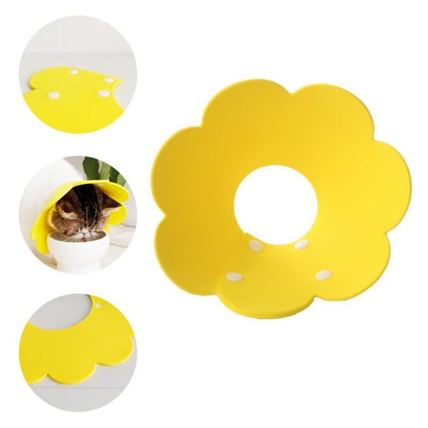 cat collars & leads home restoration for small dogs, sunflower sponge lightweight headgear kittens and puppies
cat collars & leads home restoration for small dogs, sunflower sponge lightweight headgear kittens and puppies