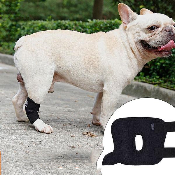 dog apparel 1pc canine rear leg knee brace hock joint wrap for heals and prevents injuries sprains helps with loss of stability
dog apparel 1pc canine rear leg knee brace hock joint wrap for heals and prevents injuries sprains helps with loss of stability
