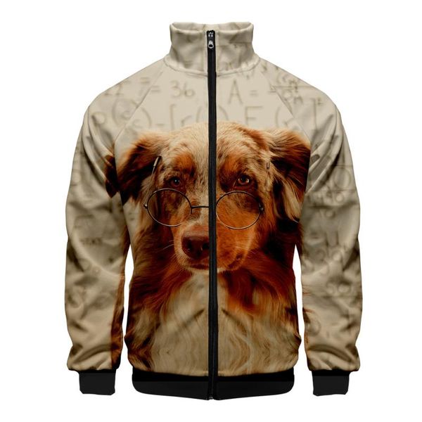 men's jackets natural lovely dog 3d stand collar kids zipper jacket women/men long sleeve casual streetwear funny animal clothing, Black;brown
men's jackets natural lovely dog 3d stand collar kids zipper jacket women/men long sleeve casual streetwear funny animal clothing, Black;brown