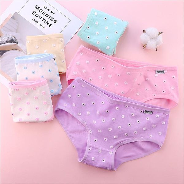 panties young girls daisy 2021 cute kids underwear casual teenage briefs girl breathable majtki dziewczynka, Camo
panties young girls daisy 2021 cute kids underwear casual teenage briefs girl breathable majtki dziewczynka, Camo