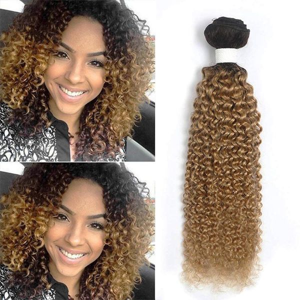 human ponytails classic plus 16 inch afro kinky curly hair bundles weave ombre black blonde high temperature fiber synthetic extensions
human ponytails classic plus 16 inch afro kinky curly hair bundles weave ombre black blonde high temperature fiber synthetic extensions