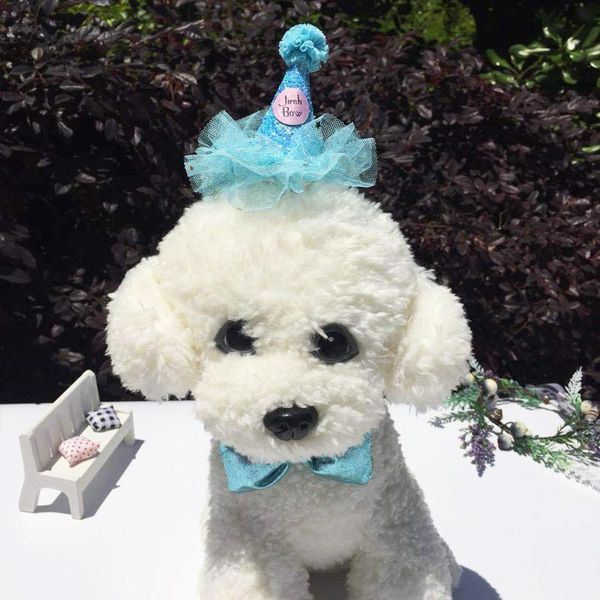 dog apparel cute puppy lace princess hats cat headwear pet dogs birthday party cap small bowknot tie gift hair grooming accessories
dog apparel cute puppy lace princess hats cat headwear pet dogs birthday party cap small bowknot tie gift hair grooming accessories