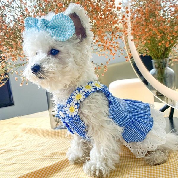 dog apparel sweet princess dress tutu lace for female blue plaid white flower puppy cats small medium dogs holiday year party
dog apparel sweet princess dress tutu lace for female blue plaid white flower puppy cats small medium dogs holiday year party