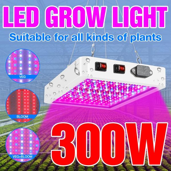 full spectrum growth lamp us eu uk plug phyto light 300w 500w seedling fito led greenhouse flowers seed grow lighting lights
full spectrum growth lamp us eu uk plug phyto light 300w 500w seedling fito led greenhouse flowers seed grow lighting lights