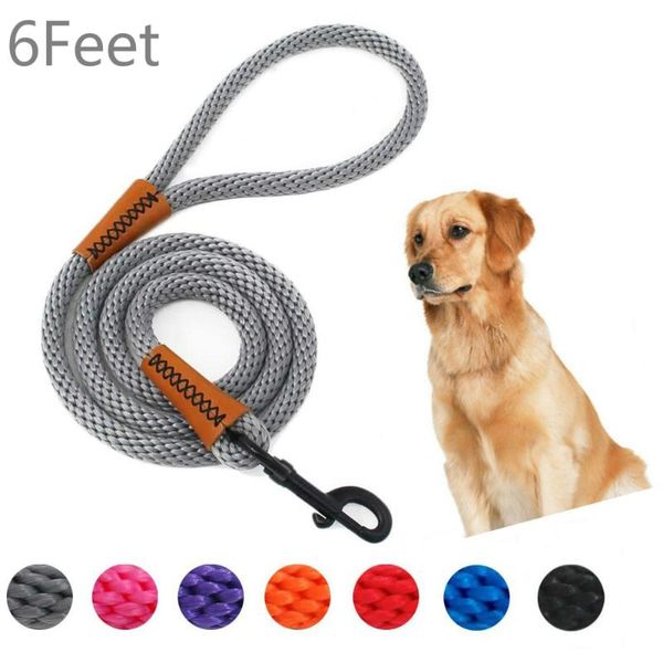 durable braided large dog leash golden medium big collar leashes strong lead rope for labrador husky rottweiler collars &
durable braided large dog leash golden medium big collar leashes strong lead rope for labrador husky rottweiler collars &