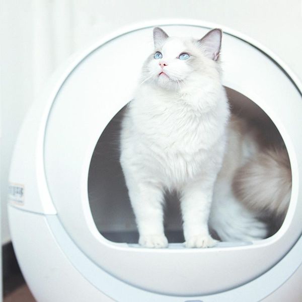 other cat supplies automatic caja de arena para gato litter box self cleaning furniture pets portable toilet
other cat supplies automatic caja de arena para gato litter box self cleaning furniture pets portable toilet