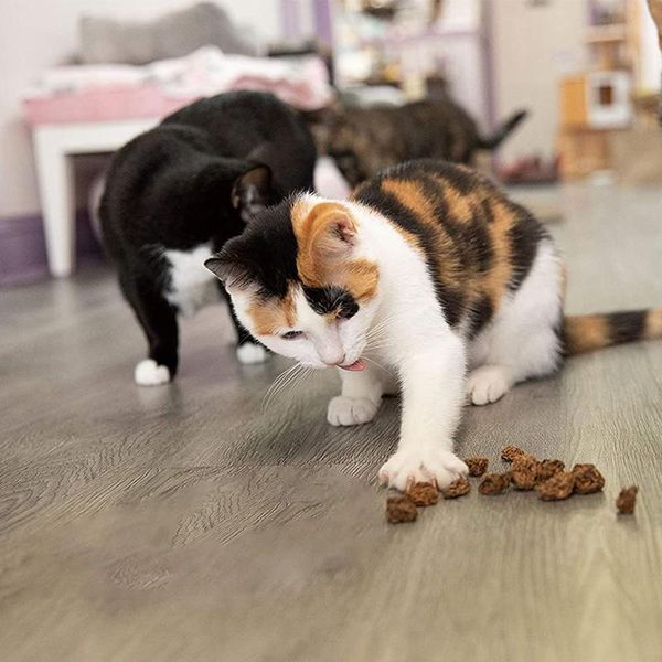cat toys excites natural cleans teeth whole silvervine fruit dried gall actinidia toy kitten treat
cat toys excites natural cleans teeth whole silvervine fruit dried gall actinidia toy kitten treat