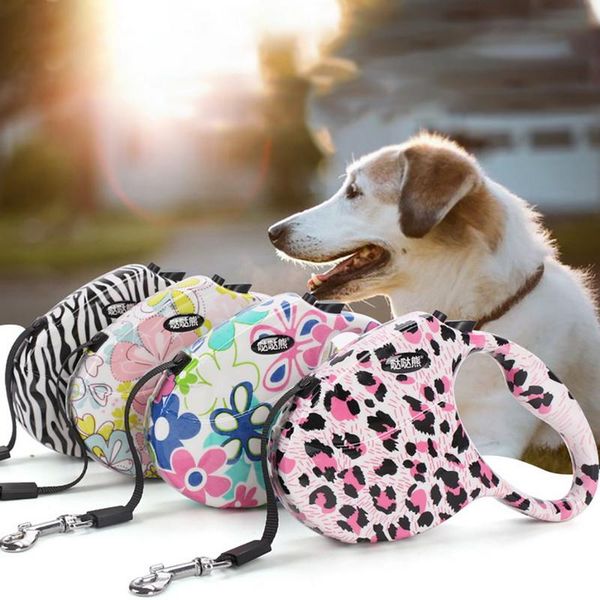 dog collars & leashes 5m colorful retractable leash extending puppy walking leads pet running hands y for
dog collars & leashes 5m colorful retractable leash extending puppy walking leads pet running hands y for