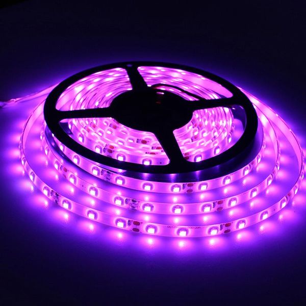 pink color 3528 led strip light 5m 60led/m dc12v flexible ribbon tape ip 65 waterproof romantic lighting strips
pink color 3528 led strip light 5m 60led/m dc12v flexible ribbon tape ip 65 waterproof romantic lighting strips