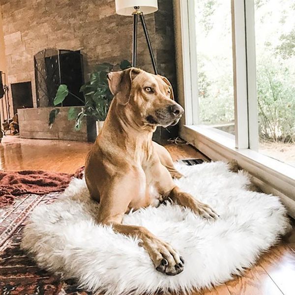 kennels & pens pet dog round long plush beds rug faux fur mat curve white winter soft warm cozy cushion for puppys cat
kennels & pens pet dog round long plush beds rug faux fur mat curve white winter soft warm cozy cushion for puppys cat