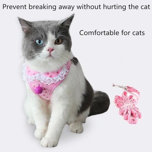 cat collars & leads portable harness and leash set for escape proof vest strips adjustable soft mesh kitten puppy
cat collars & leads portable harness and leash set for escape proof vest strips adjustable soft mesh kitten puppy