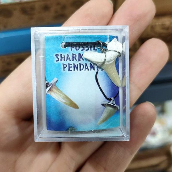 decorative objects & figurines natural creature fossil stone necklace pendant polishing 28-40mm wholesale 1pcs
decorative objects & figurines natural creature fossil stone necklace pendant polishing 28-40mm wholesale 1pcs