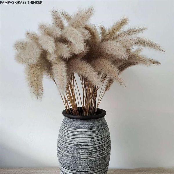 decorative flowers & wreaths 25 chinese pampas grass wedding bouquet po background window display of neutral dried
decorative flowers & wreaths 25 chinese pampas grass wedding bouquet po background window display of neutral dried