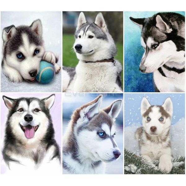 diamond painting evershine dog cross stitch 5d full square embroidery animals bead picture rhinestones wall decoration
diamond painting evershine dog cross stitch 5d full square embroidery animals bead picture rhinestones wall decoration