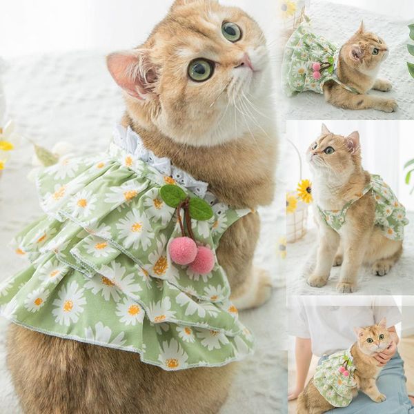 cat costumes summer skirt dogs daisy print dress pet cute green clothes pubby kitten small dog vest breathable girl costume
cat costumes summer skirt dogs daisy print dress pet cute green clothes pubby kitten small dog vest breathable girl costume