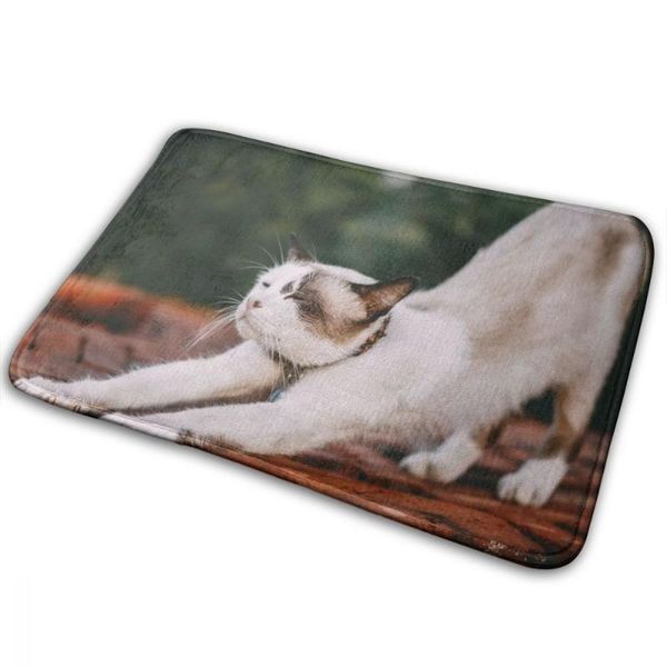 carpets soft animal carpet slip-resistant bathing rug floor door mat cushion balcony doorway hallway absorbent cat
carpets soft animal carpet slip-resistant bathing rug floor door mat cushion balcony doorway hallway absorbent cat