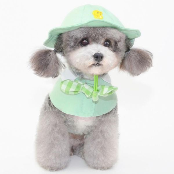 lovely hat for pet dog cat cute cap gift design birthday holiday party costume headdress kitten puppy accessories goods costumes
lovely hat for pet dog cat cute cap gift design birthday holiday party costume headdress kitten puppy accessories goods costumes