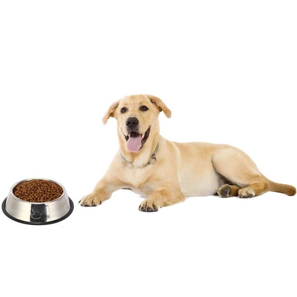 dog bowls & feeders 2021 pet cat bowl small large dogs travel puppy drinking outdoor water dispenser feeder life home supplies
dog bowls & feeders 2021 pet cat bowl small large dogs travel puppy drinking outdoor water dispenser feeder life home supplies