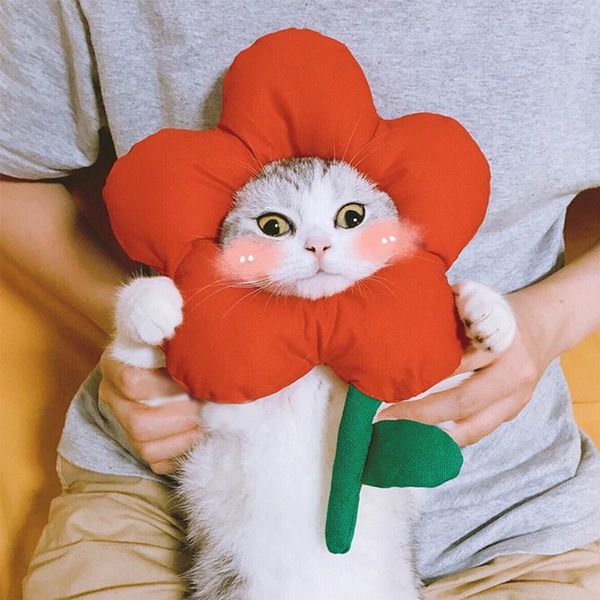 cat costumes hand-made little flower head decoration pet costume cute series po supplies accessories
cat costumes hand-made little flower head decoration pet costume cute series po supplies accessories
