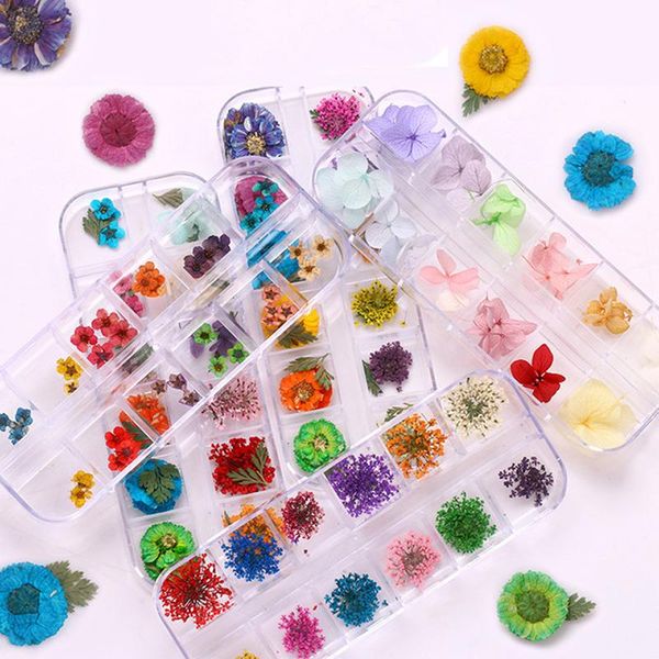 decorative flowers & wreaths 1 box dried flower ammi majus dry plants for nail art epoxy resin pendant necklace jewelry making craft diy acc
decorative flowers & wreaths 1 box dried flower ammi majus dry plants for nail art epoxy resin pendant necklace jewelry making craft diy acc