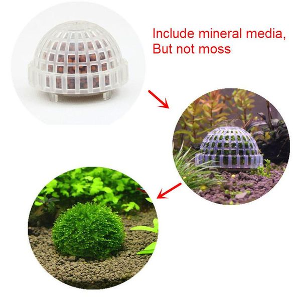 decorations fish tank moss ball with filter media water plant carrier house used for aquarium diy decoration 5x3.6cm
decorations fish tank moss ball with filter media water plant carrier house used for aquarium diy decoration 5x3.6cm