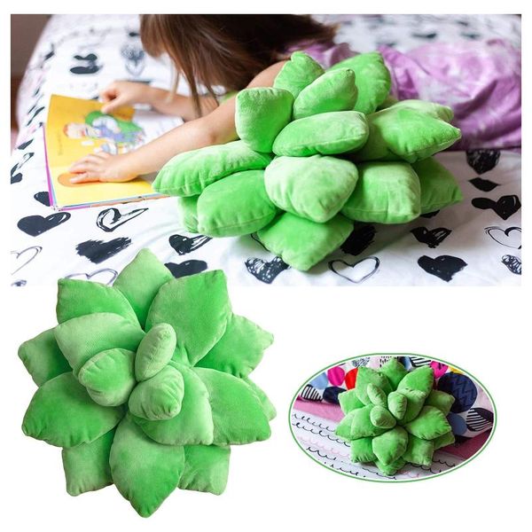 30# succulent cactus decor pillow for garden or green lovers cute ac cent succulents
30# succulent cactus decor pillow for garden or green lovers cute ac cent succulents