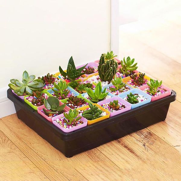 40# 20 cells garden nursery trays mini gardening pot breathable lids plastic germination box multi-compartment durable pots planters &
40# 20 cells garden nursery trays mini gardening pot breathable lids plastic germination box multi-compartment durable pots planters &