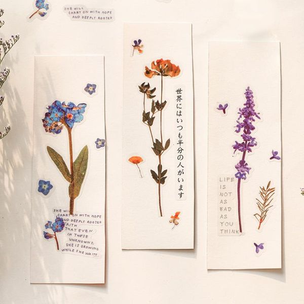 gift wrap 8 designs natural daisy clover japanese words stickers transparent pet material flowers diy scrapbooking decoration label
gift wrap 8 designs natural daisy clover japanese words stickers transparent pet material flowers diy scrapbooking decoration label