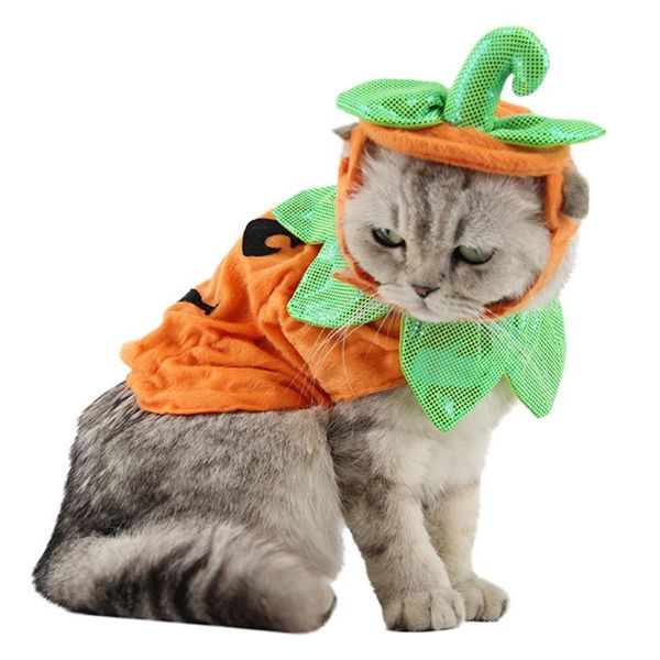 cat costumes halloween pumpkin pet costume clothing cute puppy dog festival hat suit for funny warm
cat costumes halloween pumpkin pet costume clothing cute puppy dog festival hat suit for funny warm