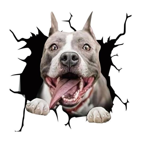 window stickers 2021 electrostatic glass film pit bull simulation funny car sticker many kinds dog creative broken painting
window stickers 2021 electrostatic glass film pit bull simulation funny car sticker many kinds dog creative broken painting