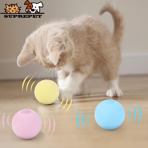 smart cat squeak toys interactive ball catnip training toy pet playing squeaky supplies products for cats kitten
smart cat squeak toys interactive ball catnip training toy pet playing squeaky supplies products for cats kitten