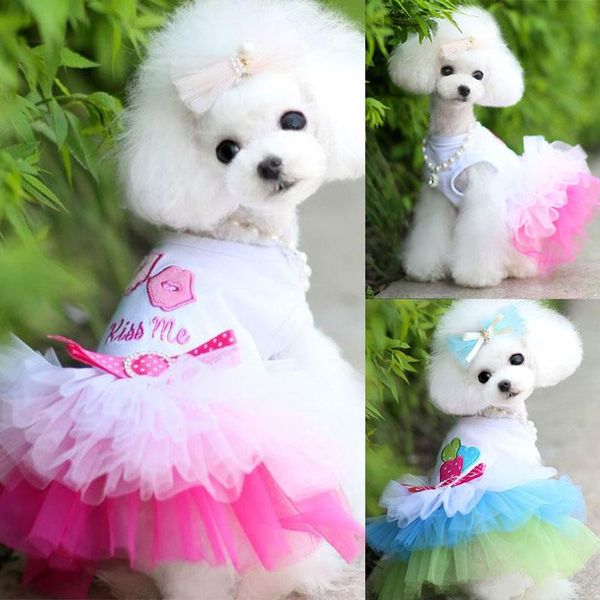 dog apparel tutu tulle clothes for small dogs dress sweety princess spring summer puppy lace chihuahua
dog apparel tutu tulle clothes for small dogs dress sweety princess spring summer puppy lace chihuahua