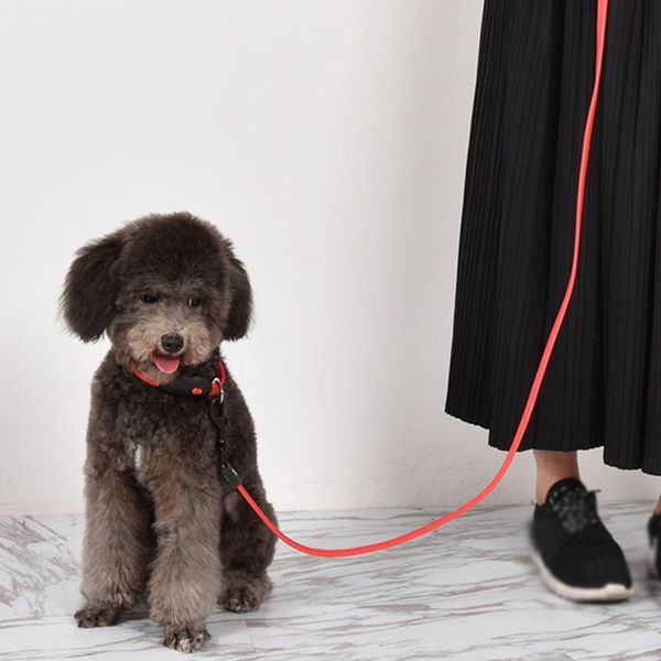 dog collars & leashes pet led light traction rope strong leash collar chihuahua small large dogs harnesses with lead supplies
dog collars & leashes pet led light traction rope strong leash collar chihuahua small large dogs harnesses with lead supplies