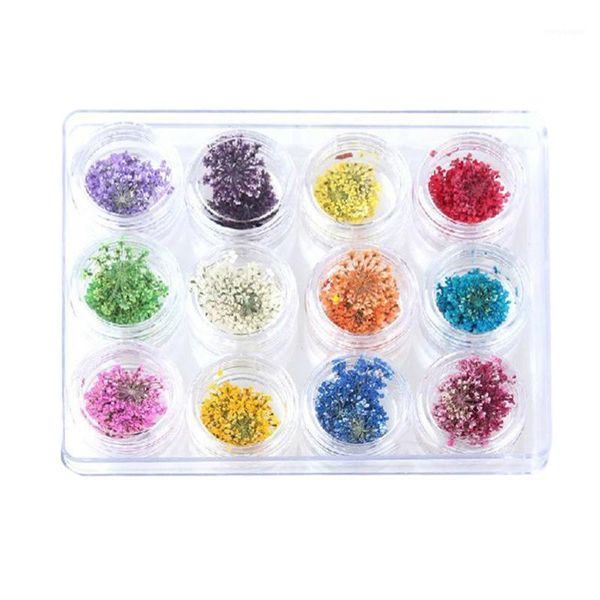 colors/set mixed dried flowers nail beauty art diy tips stickers women manicure decoration dry flowers1, Silver;gold
colors/set mixed dried flowers nail beauty art diy tips stickers women manicure decoration dry flowers1, Silver;gold