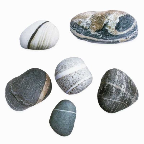 pillow 6pcs solid creative simulation stone pebbles cotton white large cushion lazy home decor funny soft
pillow 6pcs solid creative simulation stone pebbles cotton white large cushion lazy home decor funny soft