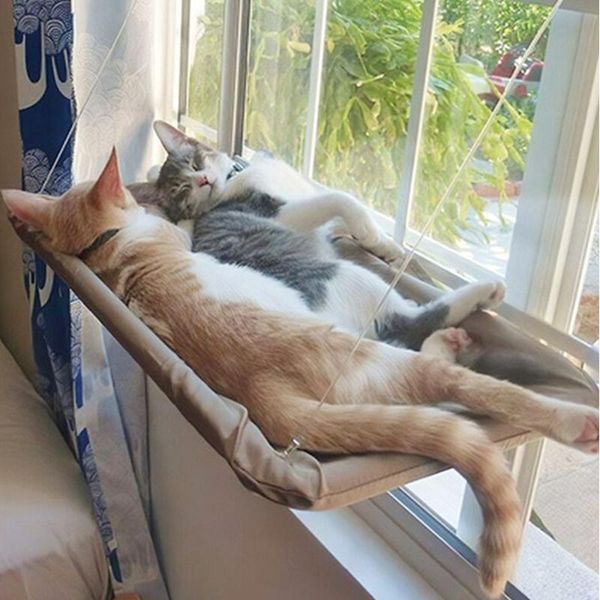 cute pet hanging beds bearing 20kg cat sunny window seat mount hammock comfortable bed shelf & furniture
cute pet hanging beds bearing 20kg cat sunny window seat mount hammock comfortable bed shelf & furniture