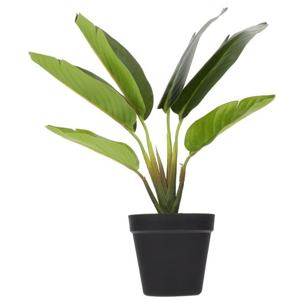 decorative flowers & wreaths 1pc simulation green plant fake potted small bonsai ornament
decorative flowers & wreaths 1pc simulation green plant fake potted small bonsai ornament
