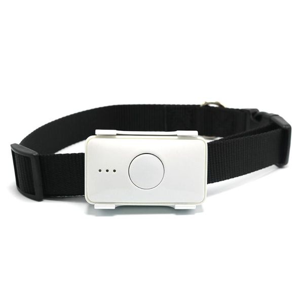 long standby big capacity battery 4g pets smart mini gps tracker dog training collar pet activity rydlk105b car & accessories
long standby big capacity battery 4g pets smart mini gps tracker dog training collar pet activity rydlk105b car & accessories