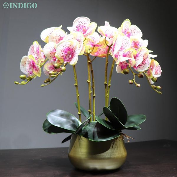 phalaenopsis white orchids (7 flowers/stem) real touch flower orchid wedding floral party - decorative flowers & wreaths
phalaenopsis white orchids (7 flowers/stem) real touch flower orchid wedding floral party - decorative flowers & wreaths