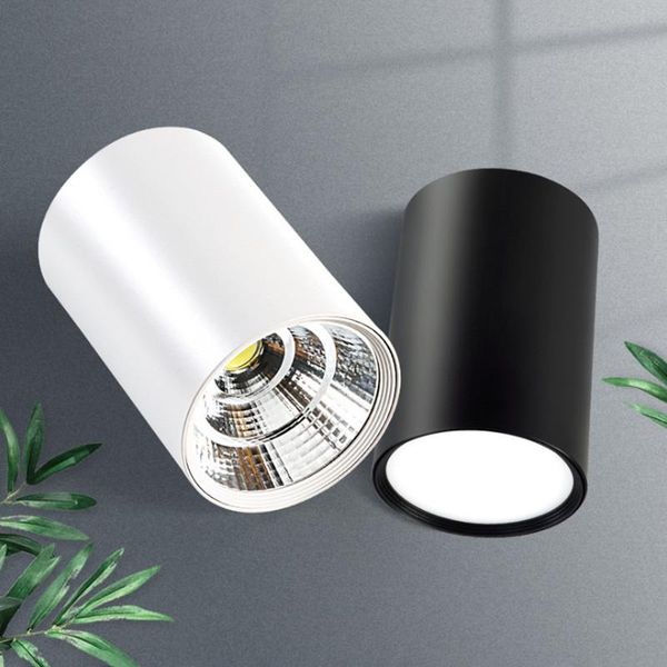 downlights dimmable surface mounted ceiling downlight 5w 7w 9w 12w 15w 18w ac85-265v lamp cob led spot light indoor lighting
downlights dimmable surface mounted ceiling downlight 5w 7w 9w 12w 15w 18w ac85-265v lamp cob led spot light indoor lighting