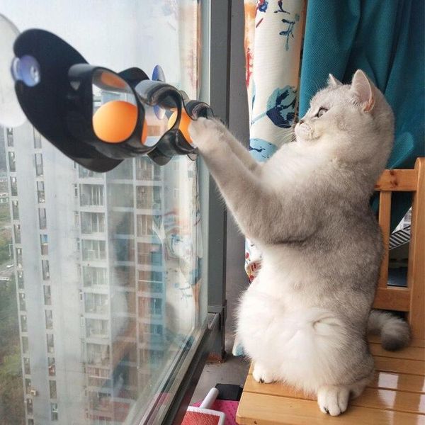 cat toys pet toy track window sucker ball catching plastic table tennis educational funny
cat toys pet toy track window sucker ball catching plastic table tennis educational funny