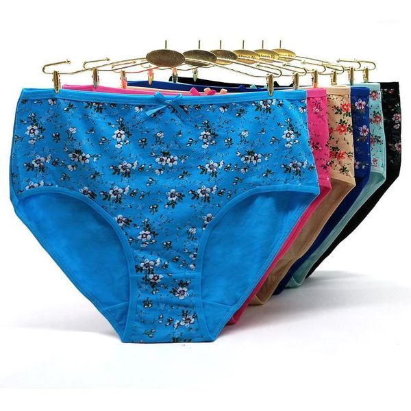 women's panties 1-10 wholesale europe america color women plus size clothing high-rise solid 2xl 3xl 4xl cotton briefs 89212, Black;pink
women's panties 1-10 wholesale europe america color women plus size clothing high-rise solid 2xl 3xl 4xl cotton briefs 89212, Black;pink
