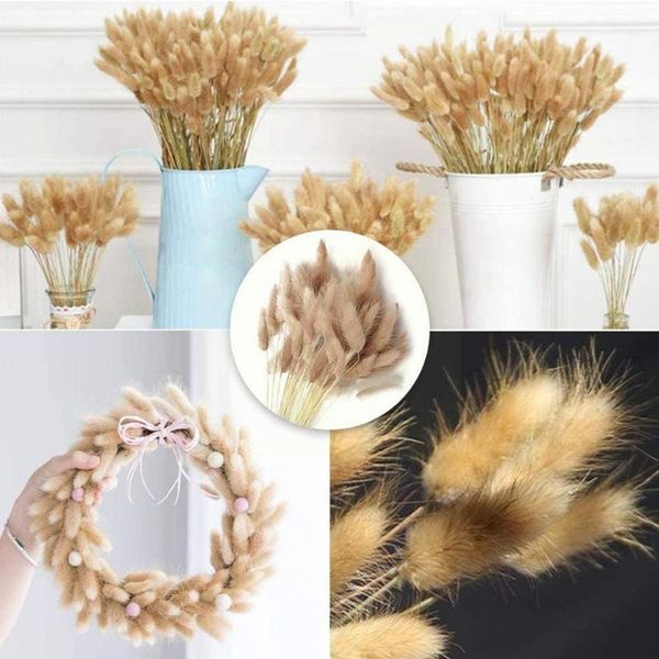 decorative flowers & wreaths 30 stems dried flower tail natural plants grass home pography decoration flore accessories props outdoor
decorative flowers & wreaths 30 stems dried flower tail natural plants grass home pography decoration flore accessories props outdoor