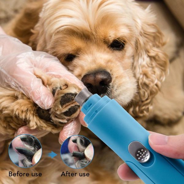 dog grooming 1 set professional pet nail clipper scissors cat toe claw clippers scissor trimmer for animals supplier
dog grooming 1 set professional pet nail clipper scissors cat toe claw clippers scissor trimmer for animals supplier