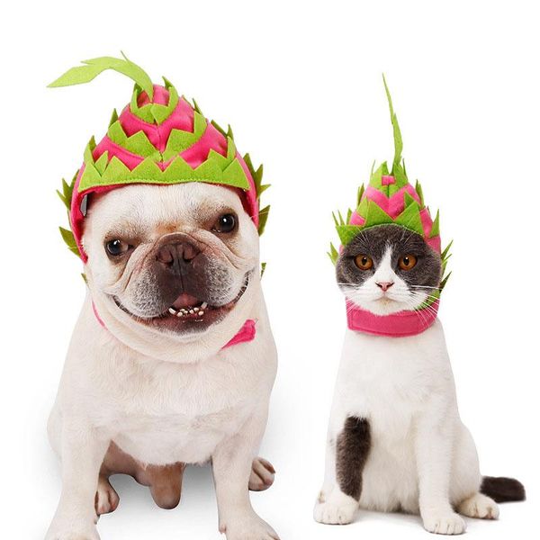 dog apparel pet cat hat cute funny adjustable caps costume pitaya fruit design holiday party accessories
dog apparel pet cat hat cute funny adjustable caps costume pitaya fruit design holiday party accessories